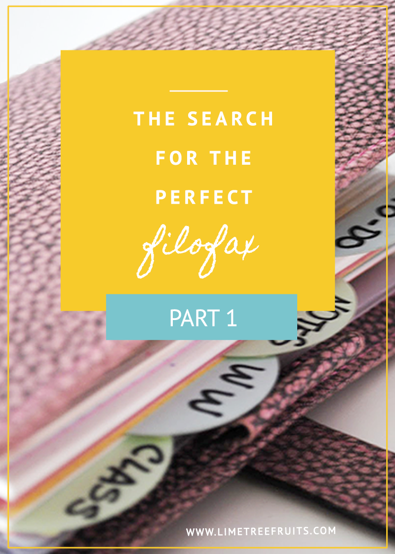The Search of Perfect Filofax | Part 1 | LimeTreeFruits | Filofax Swap #1 :: https://staging.helloraine.com/filofax-swap/