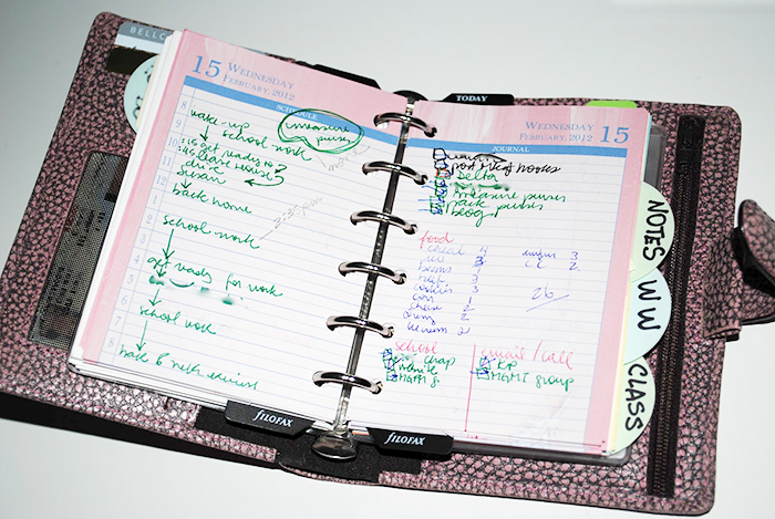 The Search of Perfect Filofax | Part 1 | LimeTreeFruits | Filofax Swap #1 :: https://staging.helloraine.com/filofax-swap/