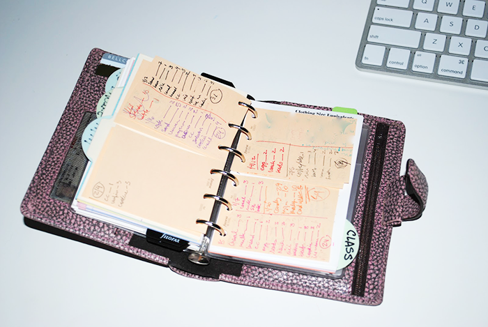 The Search of Perfect Filofax | Part 1 | LimeTreeFruits | Filofax Swap #1 :: https://staging.helloraine.com/filofax-swap/