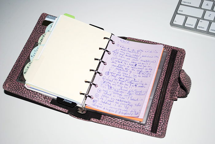 The Search of Perfect Filofax | Part 1 | LimeTreeFruits | Filofax Swap #1 :: https://staging.helloraine.com/filofax-swap/