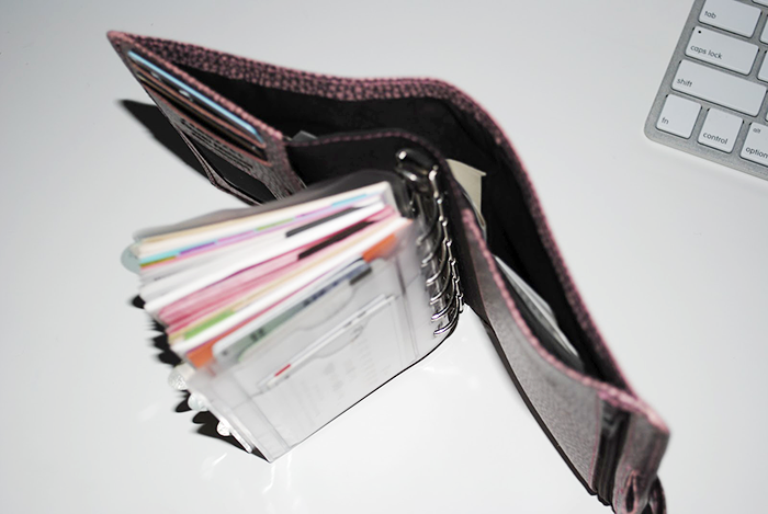 The Search of Perfect Filofax | Part 1 | LimeTreeFruits | Filofax Swap #1 :: https://staging.helloraine.com/filofax-swap/