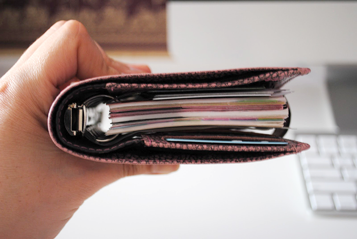 The Search of Perfect Filofax | Part 1 | LimeTreeFruits | Filofax Swap #1 :: https://staging.helloraine.com/filofax-swap/