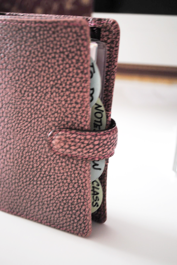 The Search of Perfect Filofax | Part 1 | LimeTreeFruits | Filofax Swap #1 :: https://staging.helloraine.com/filofax-swap/