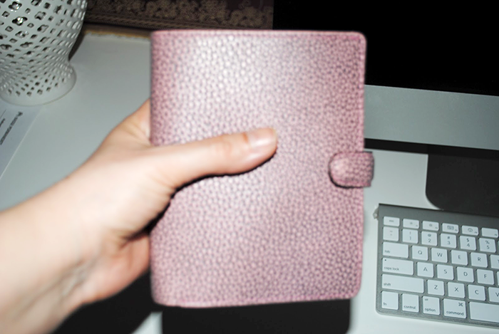 The Search of Perfect Filofax | Part 1 | LimeTreeFruits | Filofax Swap #1 :: https://staging.helloraine.com/filofax-swap/