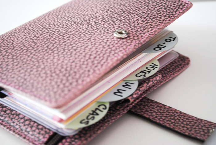 The Search of Perfect Filofax | Part 1 | LimeTreeFruits | Filofax Swap #1 :: https://staging.helloraine.com/filofax-swap/