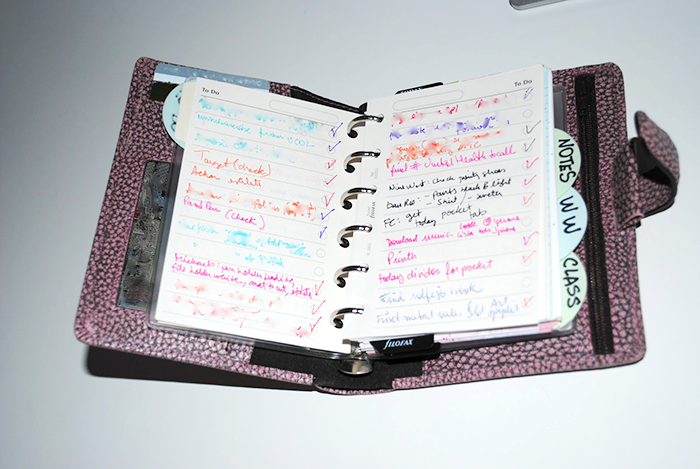 The Search of Perfect Filofax | Part 1 | LimeTreeFruits | Filofax Swap #1 :: https://staging.helloraine.com/filofax-swap/