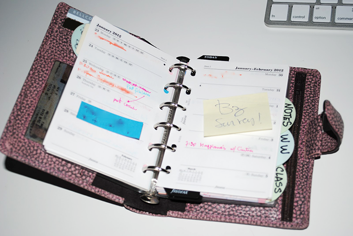 The Search of Perfect Filofax | Part 1 | LimeTreeFruits | Filofax Swap #1 :: https://staging.helloraine.com/filofax-swap/