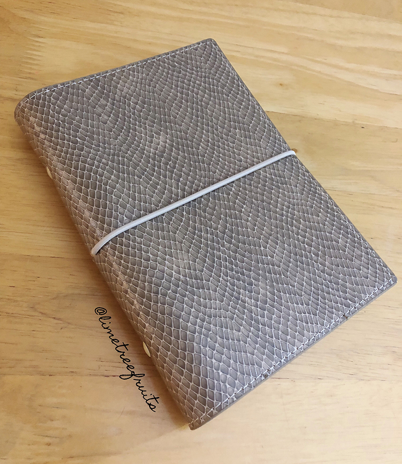 The Search of Perfect Filofax | Part 2 | LimeTreeFruits | Filofax Swap #2 :: https://staging.helloraine.com/filofax-swap-2-the-attempt/