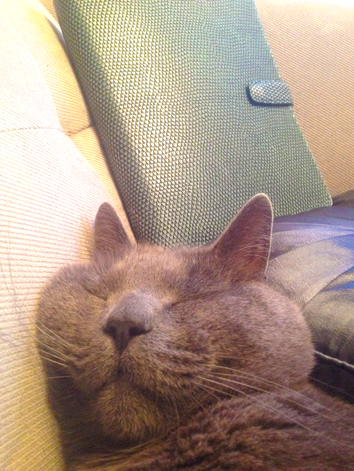 The Search of Perfect Filofax | Part 2 | LimeTreeFruits | Filofax Swap #2 :: https://staging.helloraine.com/filofax-swap-2-the-attempt/