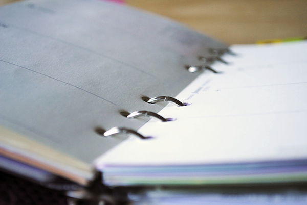 Filofax Swapt #3 :: https://staging.helloraine.com/filofax-swap-3-the-chamomile-attempt/