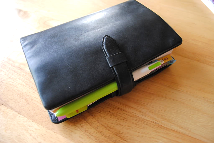 The Search of Perfect Filofax | Part 4 | LimeTreeFruits | Filofax Swap #4 :: https://staging.helloraine.com/filofax-swap-4-a-solid-attempt/