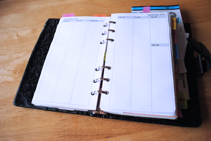 The Search of Perfect Filofax | Part 4 | LimeTreeFruits | Filofax Swap #4 :: https://staging.helloraine.com/filofax-swap-4-a-solid-attempt/