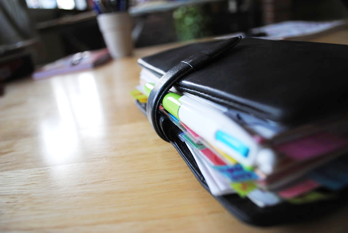 The Search of Perfect Filofax | Part 4 | LimeTreeFruits | Filofax Swap #4 :: https://staging.helloraine.com/filofax-swap-4-a-solid-attempt/