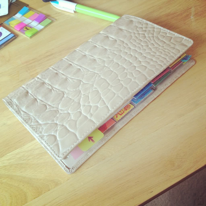 The Search of Perfect Filofax | Part 4 | LimeTreeFruits | Filofax Swap #4 :: https://staging.helloraine.com/filofax-swap-4-a-solid-attempt/