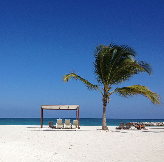 LimeTreeFruits.com // Caribbean Beach