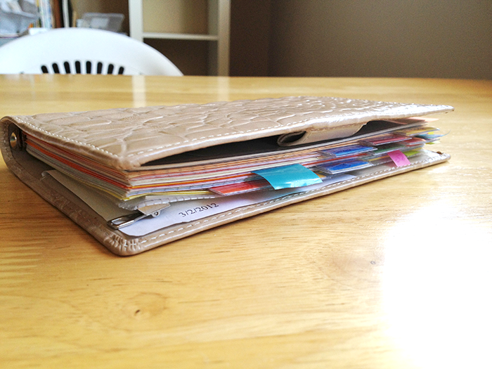 The Search for Perfect Filofax | Part 5 | LimeTreeFruits | Filofax Swap #5 :: https://staging.helloraine.com/filofax-swap-5-a-classy-attempt/