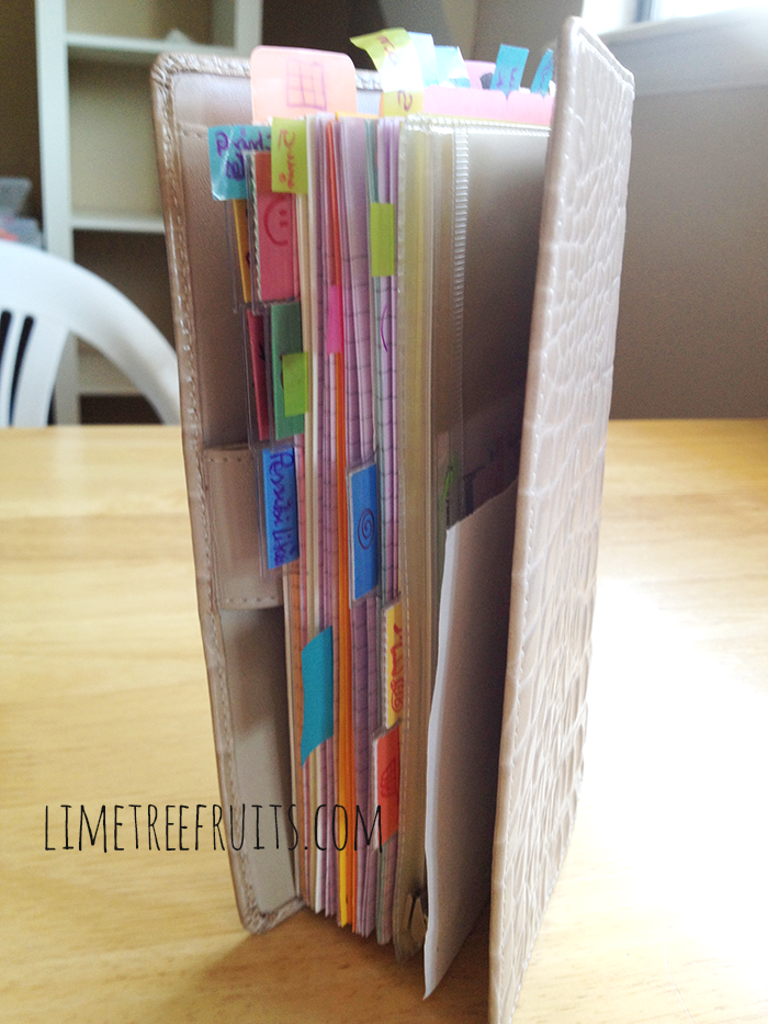 The Search for the Perfect Filofax | Part 5 | LimeTreeFruits | Filofax Swap #5 :: https://staging.helloraine.com/filofax-swap-5-a-classy-attempt/