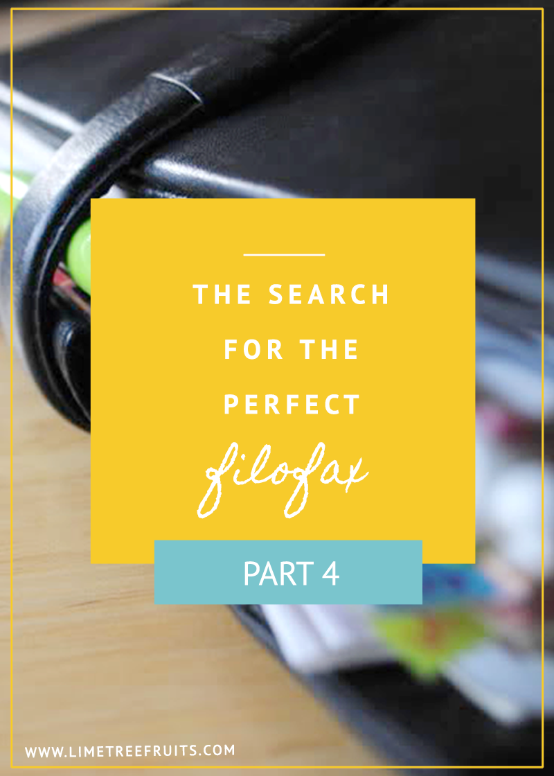 The Search of Perfect Filofax | Part 4 | LimeTreeFruits | Filofax Swap #4 :: https://staging.helloraine.com/filofax-swap-4-a-solid-attempt/