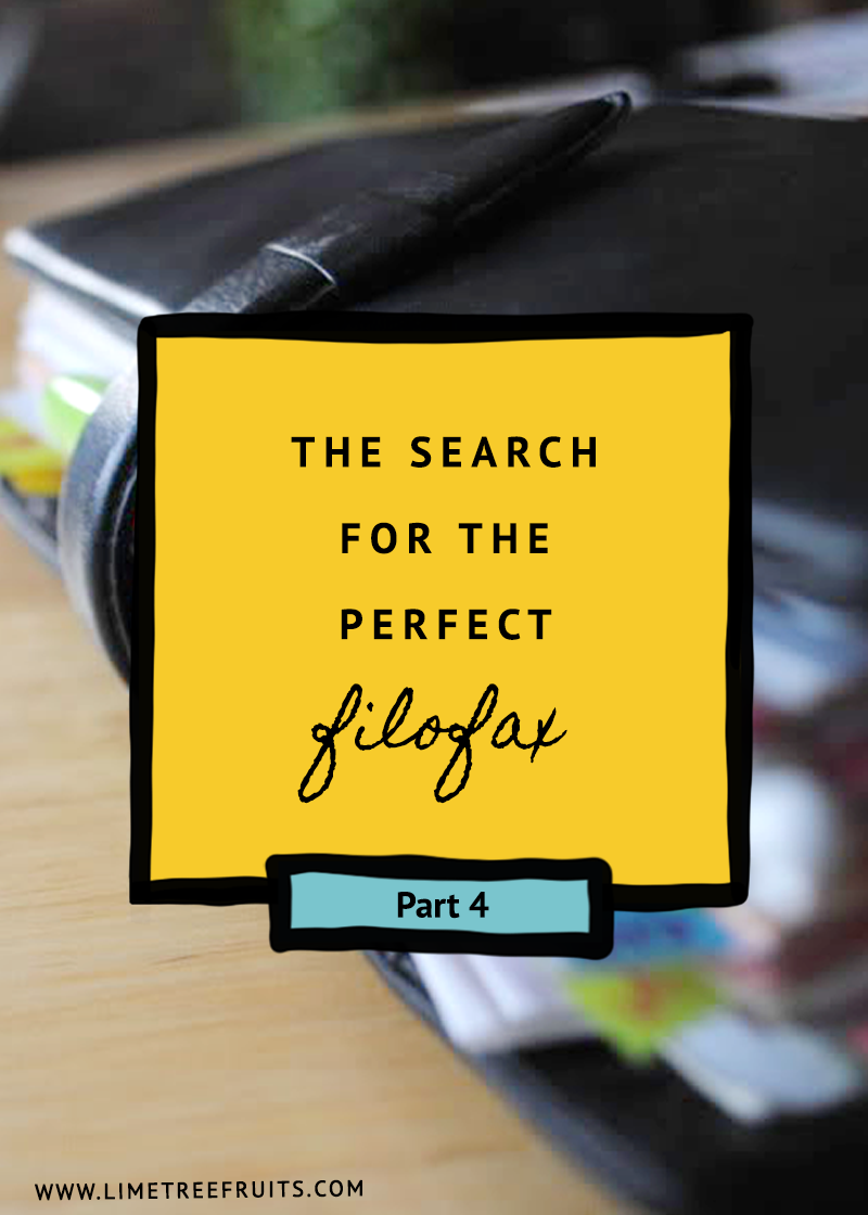 The Search of Perfect Filofax | Part 4 | LimeTreeFruits | Filofax Swap #4 :: https://staging.helloraine.com/filofax-swap-4-a-solid-attempt/