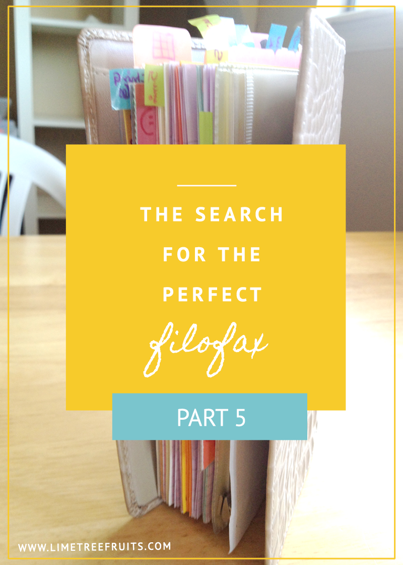 The Search of Perfect Filofax | Part 5 | LimeTreeFruits | Filofax Swap #5 :: https://staging.helloraine.com/filofax-swap-5-a-classy-attempt/