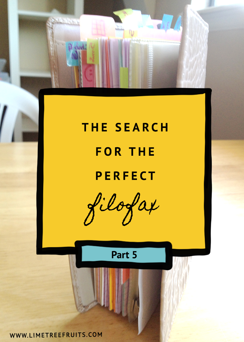 The Search of Perfect Filofax | Part 5 | LimeTreeFruits | Filofax Swap #5 :: https://staging.helloraine.com/filofax-swap-5-a-classy-attempt/