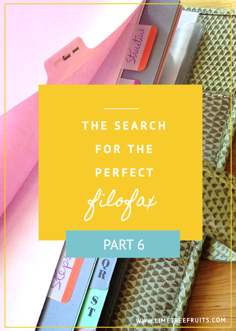 The Search for the Perfect Filofax | Part 6 | LimeTreeFruits | Filofax Swap #6 :: https://staging.helloraine.com/filofax-swap-6-never-giving-up/